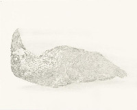 Simon Benson, Waking Crow, 2010-2012, potlood op papier, 40 x 50 cm.
PHŒBUS•Rotterdam